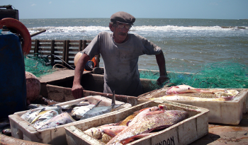 Pescador artesanal