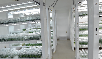 Laboratorio de INIA, recientemente inaugurado