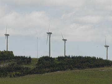 Molinos eólicos