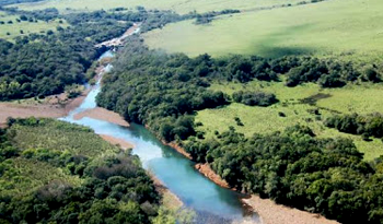 Uruguay incrementó su área de bosque nativo entre 2010 y 2014 Uruguay incrementó su área de bosque nativo entre 2010 y 2014