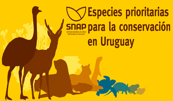 Afiche de publicación sobre especies que deben conservarse