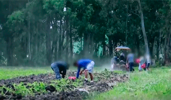 Polo Agrícola penitenciario en plena producción