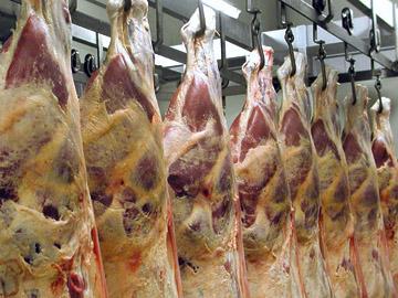 Carne en el gancho
