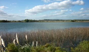 Humedales del río Santa Lucía Humedales del río Santa Lucía