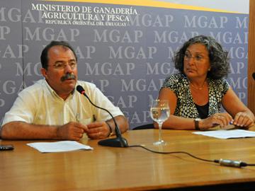 Autoridades