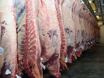 Corte de carne en frigorífico