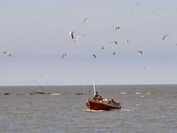 Barca pesquera en el río