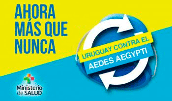 Uruguay contra el mosquito Aedes aegypti