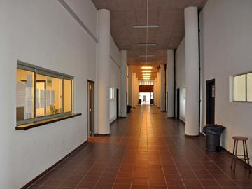Liceo N.º 37 “Dr. Javier Barrios Amorín"