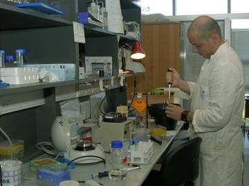 Científico en laboratorio trabajando