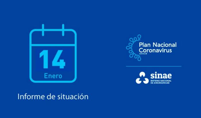 Informe del Sinae