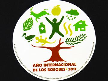 Afiche de la actividad