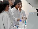 Universidad Tecnológica financia becas para que estudiantes mujeres experimenten en ciencia y tecnología