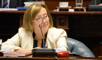 La ministra María Julia Muñoz comparece en el Senado
