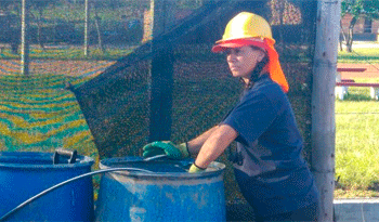 Participante de capacitación en Chapicuy, Paysandú