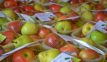 Frutas