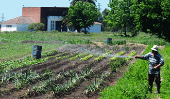 Trabajador rural