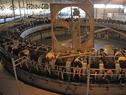 Desarrollo industrial con inclusión