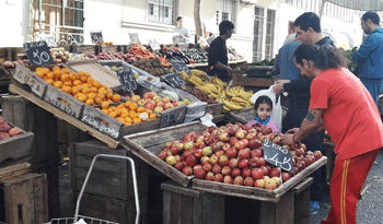 Naranjas y mandarinas para el mundo