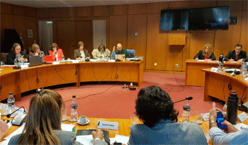Comparecencia en comisión parlamentaria Comparecencia en comisión parlamentaria