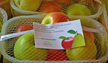 Manzanas