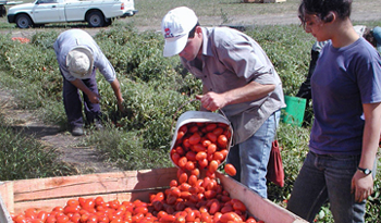 Productores rurales familiares