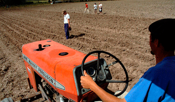 Producción agrícola