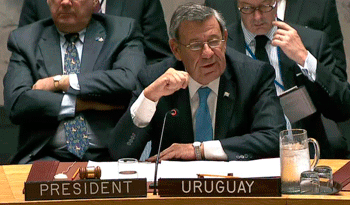 Nin Novoa en Consejo de Seguridad de la ONU