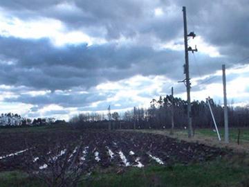 Cableado en el campo Cableado en el campo