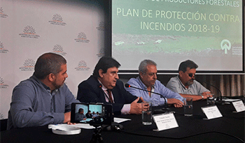 Recomendaciones para mitigar riesgos de incendio en verano