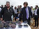 El presidente Lacalle Pou en la inauguración de la vendimia y el comienzo de obras de la sede propia del Inavi