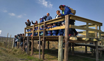 Mirador de paso Severino