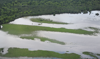 Río Negro