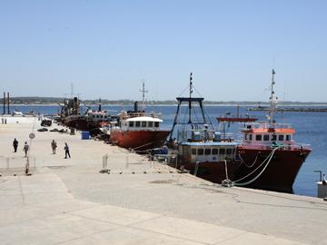 Puerto de La Paloma