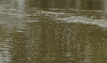 Lluvias