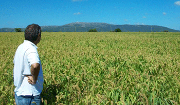 Estrategia para retener a jóvenes en el medio rural