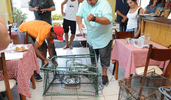 Fomento de la pesca artesanal