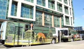 Casa Militar recibió dos buses en comodato por parte de CUTCSA