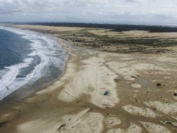 dunas