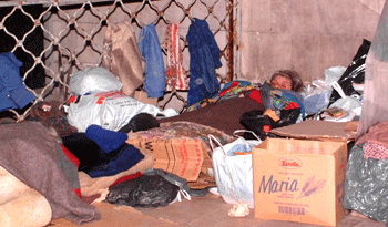Refugios del Mides