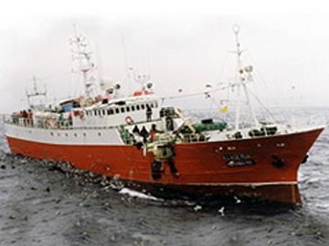 No olvidarse de completar este campo