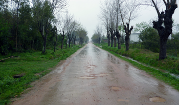 Camino rural