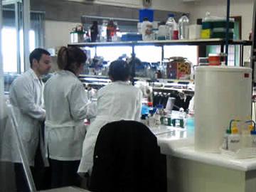 Laboratorio