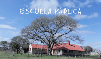 Cobertura alimentaria y de salud en la escuela pública