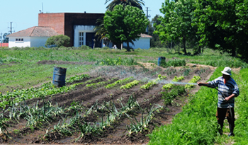 Trabajador de pequeño establecimiento rural Trabajador de pequeño establecimiento rural