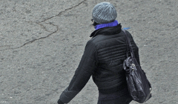 Precauciones ante bajas temperaturas