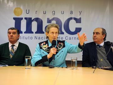 Fratti, Grandin y Muzio