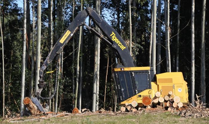 Producción sector forestal