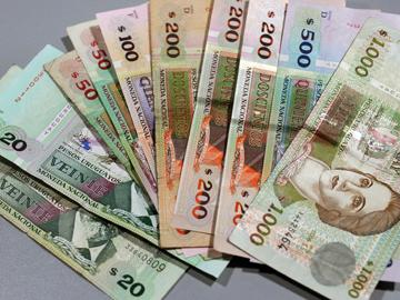 Dinero en moneda nacional