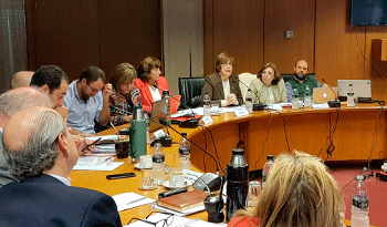 Ministra Marina Arismendi en el Parlamento